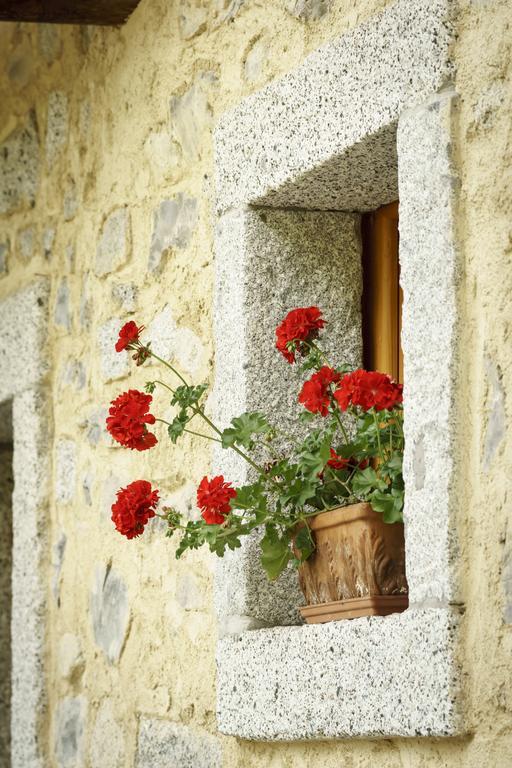 Villa Agritur Manoncin Daone Exterior foto